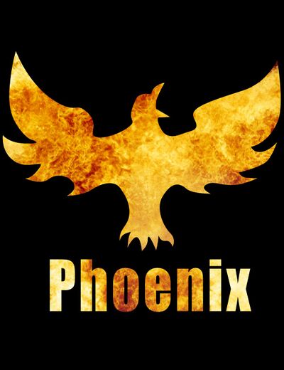 Phoenix - Robowiki